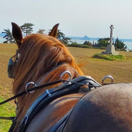 Chez Jollyjune, A Moins D'Une Heure Du Mont Saint Michel Champeaux Εξωτερικό φωτογραφία